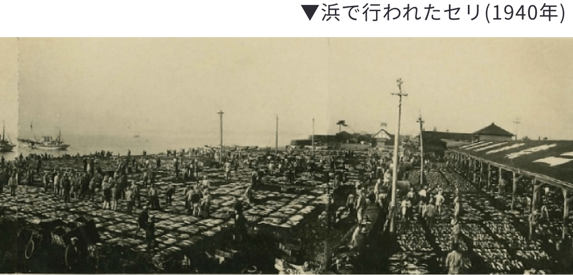 浜で行われたセリ(1940年) 